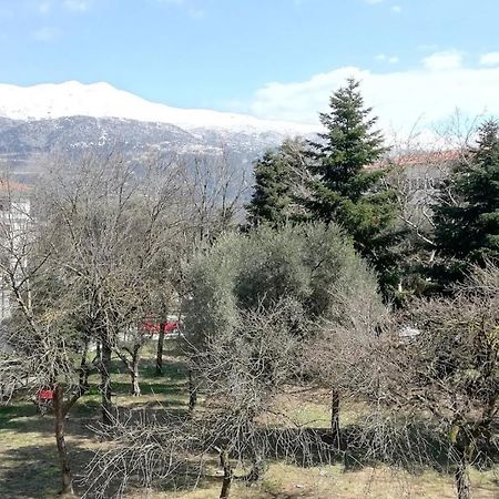Apartmán Gks Park View Ioánnina Exteriér fotografie
